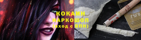 стафф Бородино