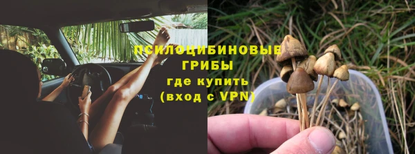 прущая мука Струнино