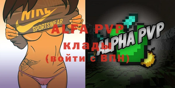 стафф Бородино